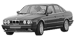 BMW E34 P2266 Fault Code